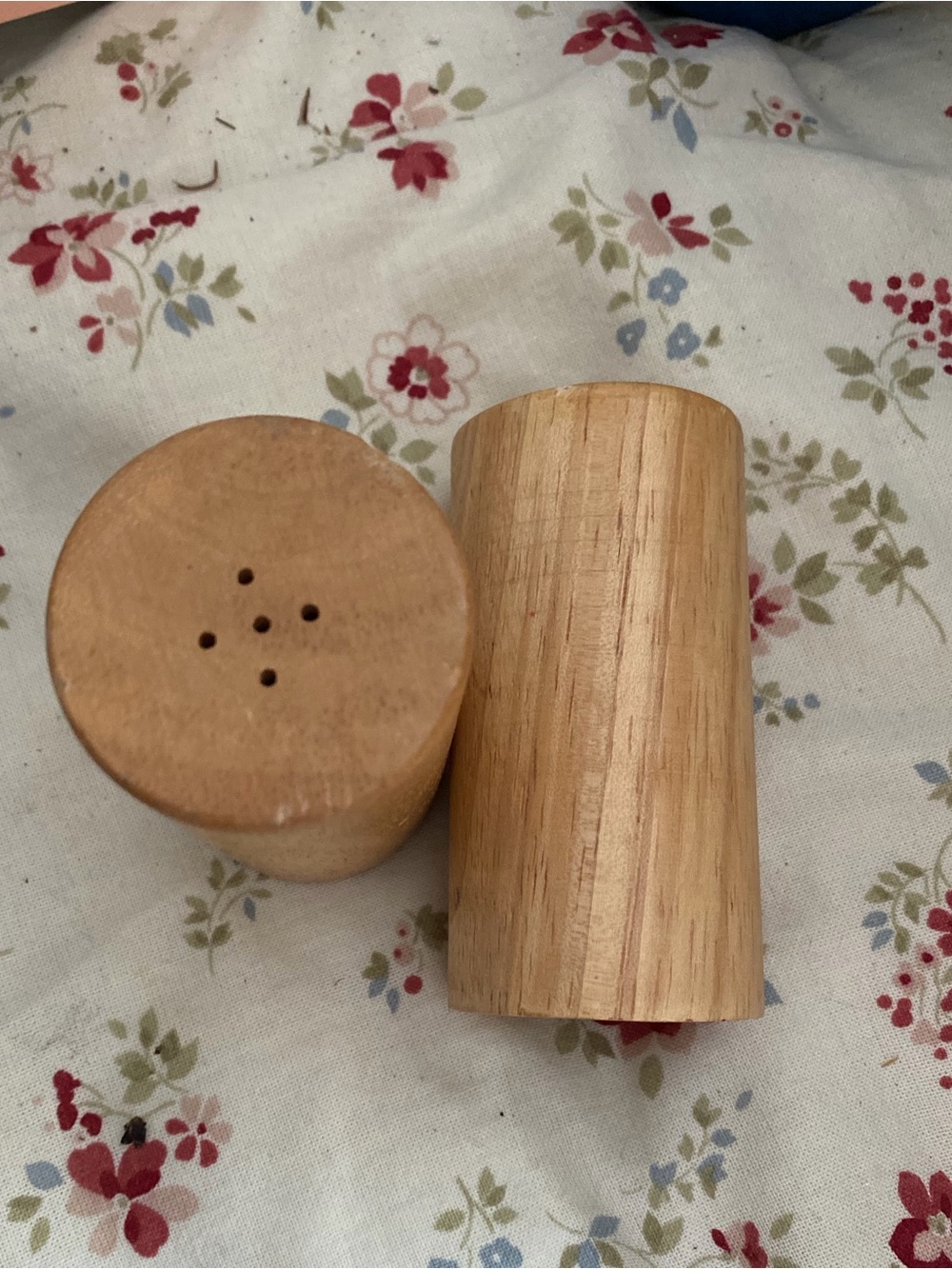 Wooden Salt and Pepper Shakers - Natural Wood